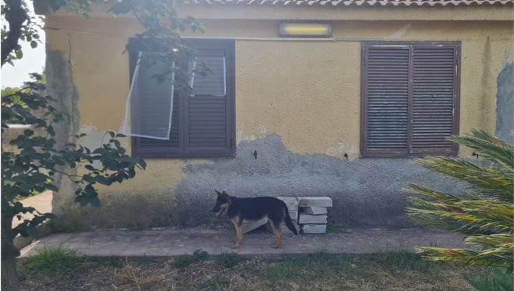 FACCIATA