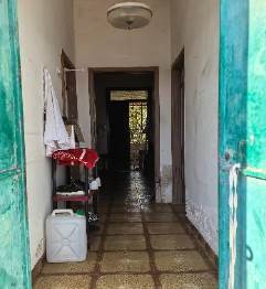 INGRESSO