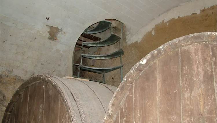 BOTOLA PER CANTINETTA VINO